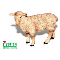 Atlas C Ovce 9 cm