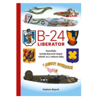 B-24 Liberator - Kamufláže bombardovacích skupin USA AF za 2. světové války