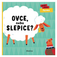 Ovce, nebo slepice? - Lenka Chytilová