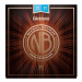 D'Addario NB1047-12 Nickel Bronze Acoustic Light 12-String