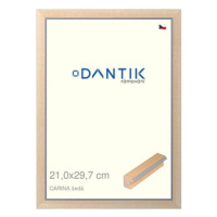 DANTIK rámeček 21 × 29,7, CARINA šedý sklo čiré