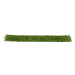 Dekorace AK Interactive - Realistic Dark Green Moss