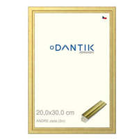 DANTIK rámeček 20 × 30, ANDRE zlatý sklo čiré