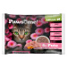 Pawsome Pawsome! Adult Kapsička s krůtím masem Multipack 4x85g