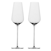 Sklenice na šampaňské 300 ml sada 2 ks - FLOW Glas Platinum Line