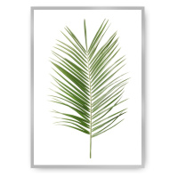 Dekoria Plakát Palm Leaf Green, 50 x 70 cm, Vybrat rám: Stříbrný