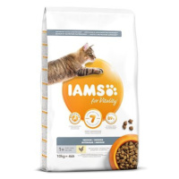 IAMS Cat Adult Indoor Chicken 10 kg