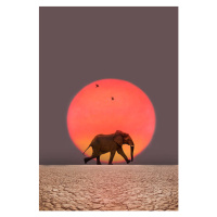 Umělecká fotografie Elephant walking., Grant Faint, (26.7 x 40 cm)
