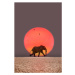 Umělecká fotografie Elephant walking., Grant Faint, (26.7 x 40 cm)