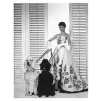 Umělecká fotografie Audrey Hepburn, (30 x 40 cm)