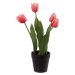 Umělá květina (výška 31 cm) Tulips – Ixia