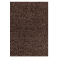 Ayyildiz koberce Kusový koberec Dream Shaggy 4000 brown Rozměry koberců: 60x110
