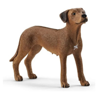 Schleich 13895 Zvířátko –⁠ pes ridgeback rhodéský