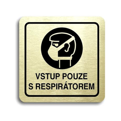 Accept Piktogram "vstup pouze s respirátorem" (80 × 80 mm) (zlatá tabulka - černý tisk)