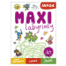 Maxi labyrinty (4+) - kniha z kategorie Úkoly pro děti