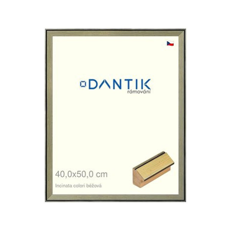 DANTIK rámeček 40 × 50, INCLINATA colori béžový plexi čiré