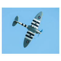 Fotografie Spitfire With Invasion Markings., John Dickson, 40x30 cm