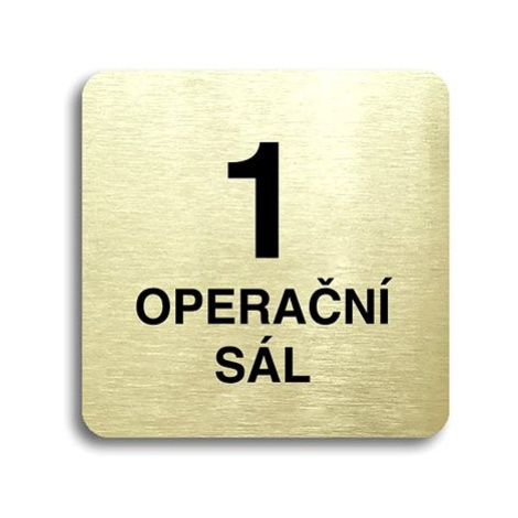 Accept Piktogram "1 operační sál" (80 × 80 mm) (zlatá tabulka - černý tisk bez rámečku)