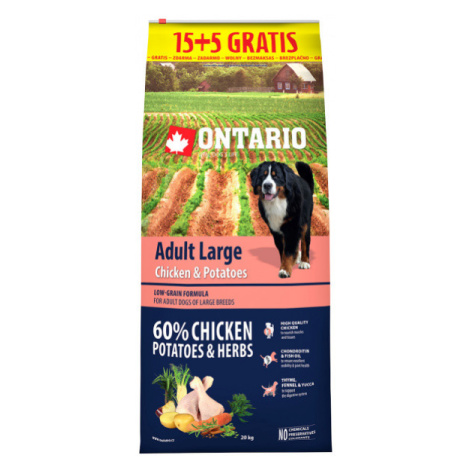 Ontario Adult Large Chicken & Potatoes 15+5kg zdarma