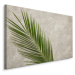 MyBestHome BOX Plátno Palmový List Na Betonovém Pozadí Varianta: 120x80
