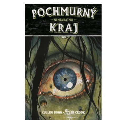 Pochmurný kraj 8 - Nenávratno