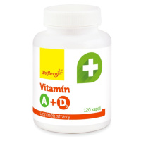 Wolfberry Vitamin A + D3 120 kapslí