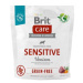 Brit Care Dog Grain-free Sensitive 1kg