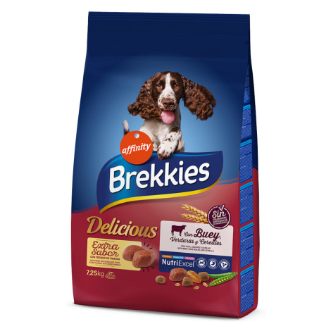 Brekkies Delicious s hovězím - výhodné balení: 2 x 7,25 kg Affinity Brekkies