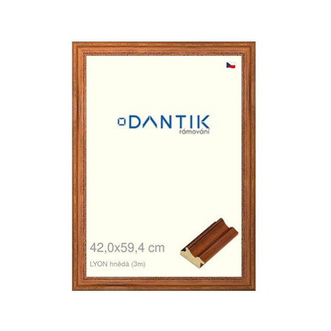 DANTIK rámeček 42 × 59,4, LYON hnědý plexi čiré