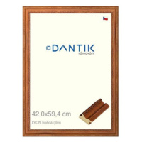 DANTIK rámeček 42 × 59,4, LYON hnědý plexi čiré