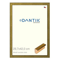 DANTIK rámeček 29,7 × 42, Metalli oidati zlatý plexi čiré