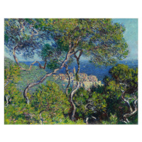 Obrazová reprodukce Bordighera (1884), Claude Monet, 40 × 30 cm