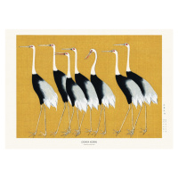 Obrazová reprodukce Japanese Red Crown Crane, Studio Collection, 40x30 cm