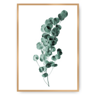 Dekoria Plakát Eucalyptus Emerald Green, 40 x 50 cm, Ramka: Złota