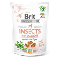 Brit Care Dog Insects with Salmon & Thyme funkční pamlsky 200g