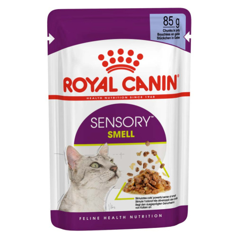 Royal Canin Sensory Smell želé 12 × 85 g