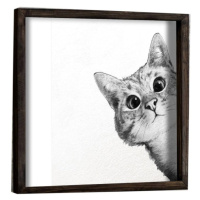 Wallity Nástěnný obraz Cat 33x33 cm černobílý