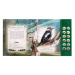 Albatros Zvuková knížka Ptáci našich lesů na baterie 22,5x21cm