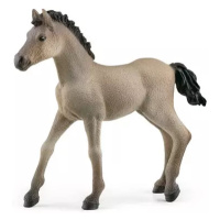 Schleich Zvířátko - hříbě Criollo Definitivo