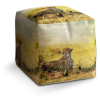 Sablio Taburet Cube Gepard: 40x40x40 cm