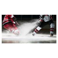 Fotografie Ice hockey players facing off, Ryan McVay, 40x20 cm