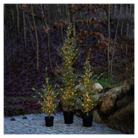 Sirius LED stromek Milas Cedr v květináči, pro venkovní použití