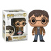 Funko Pop! Harry Potter with 2 wands 118