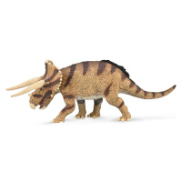 Collecta triceratops horridus