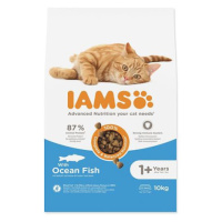 IAMS Cat Adult Ocean Fish 10 kg