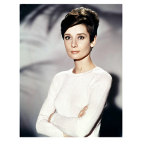 Fotografie Audrey Hepburn In 'Wait Until Dark', Archive Photos, 30 × 40 cm