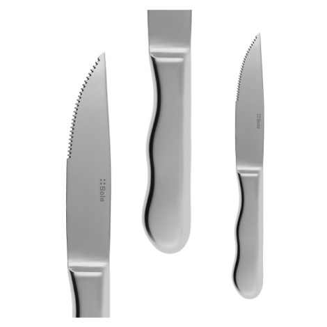 Steakový nůž s dutou rukojetí 26 cm - BIG Sola
