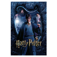 Umělecký tisk Harry Potter, 26.7 × 40 cm