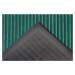 Hanse Home Collection koberce Rohožka Mix Mats Striped 105650 Smaragd Green Rozměry koberců: 80x