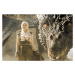 Umělecký tisk Game of Thrones - Mother of Dragons, (40 x 26.7 cm)